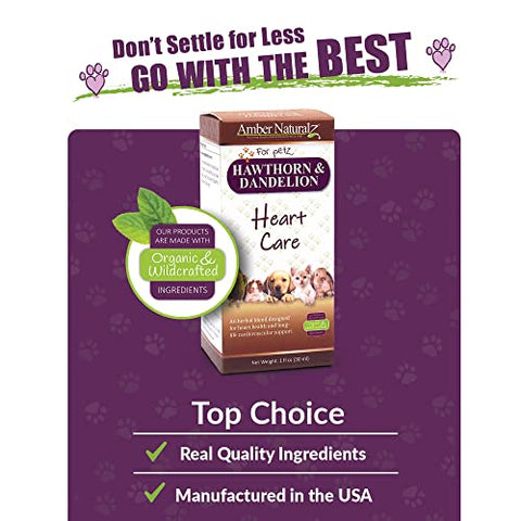 Suplemento Herbal de Espinheiro e Dente-de-leão para Cães, Gatos, Aves, Porquinhos-da-índia e Coelhos | Cuidado Cardíaco para Animais de Estimação | Frasco de Vidro de 1 ml | Marca AMBER NATURALZ - AMBER NATURALZ