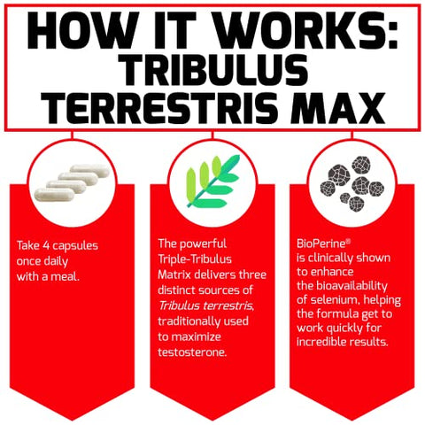 Force Factor - FORCE FACTOR Tribulus Terrestris Max for Men – Potencializador de Testosterona e Vitalidade Masculina, Absorção Superior, 2000mg, 120 Cápsulas