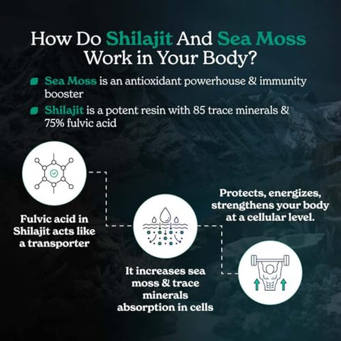 Better Alt - Cápsulas de Shilajit Gold com Sea Moss, Ashwagandha e Extrato de Pimenta Preta – Potencialize sua saúde com ingredientes naturais!