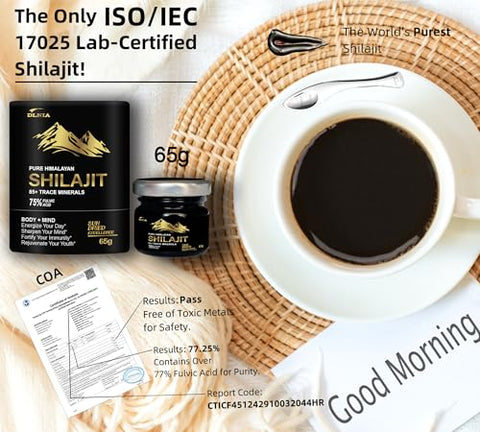 DLNIA - Shilajit Puro Himalaia Orgânico Resina de Shilajit Suplemento – Grau Ouro com 85 Minerais Traços e 75% de Ácido Fúlvico, Energia Total