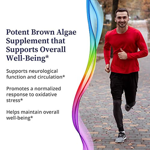 PC-Ecklonia Cava – Extrato Botânico de Algas Marrons Potente Rico em Polifenóis e 71 Minerais Traços que Suportam a Função Neurológica, Circulação e Bem-Estar Geral – 100% Natural e Puro - BioPure