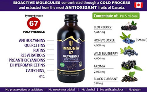 67 polifenóis. Concentrado de Sabugueiro com Mirtilo Silvestre. Suplemento Antioxidante. Concentrado de 67 polifenóis (Antocianinas, Quercetinas, Resveratrols, etc.) 24g - Immunia