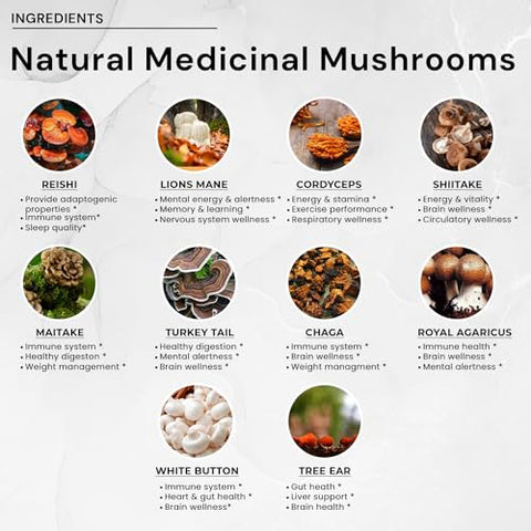 Complexo de 10 Cogumelos – Leão da Montanha, Reishi e Cordyceps | Potencialize sua saúde com o melhor suplemento de cogumelos - ACEWORKZ
