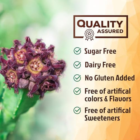 Nature's Nutrition - Extrato Puro de Caralluma Fimbriata Altamente Concentrado 1200mg – Cápsulas Naturais de Caralluma Fimbriata para Suporte à Resistência, Melhor Suplemento Vegano para Homens