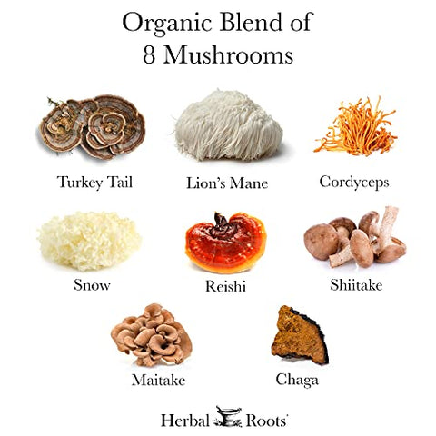 Cápsulas de Suplemento de Cogumelos Herbal Roots | Mistura de 8 Cogumelos Orgânicos | Turkey Tail, Lion’s Mane, Shiitake, Cordyceps, Reishi, Chaga, Maitake, Snow | 60 Cápsulas Veganas