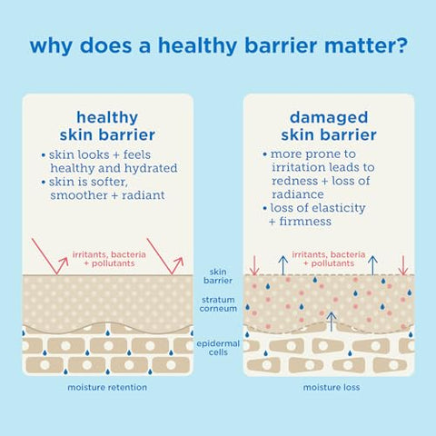 Creme Skinfix Barrier Triple Lipid-Peptide: Enriquecido com Lipídios, Peptídeos, Ácido Hialurônico e Manteiga de Karité para Iluminar, Firmar e Preencher, 50g