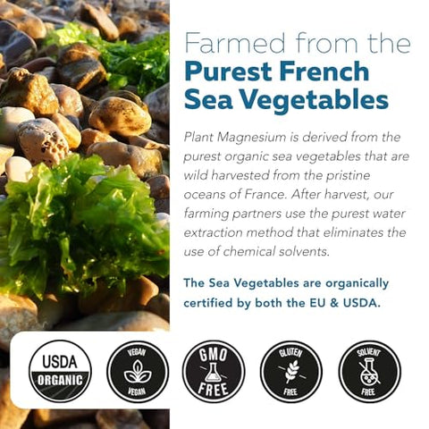 Triquetra Health - Magnésio Orgânico | Magnésio de Alimentos Integrais – Baseado em Plantas, Complexo de Vegetais Marinhos Orgânicos – 250 mg de Magnésio por Porção | Extraído em Água | Suave no Estômago | Energia, Sono