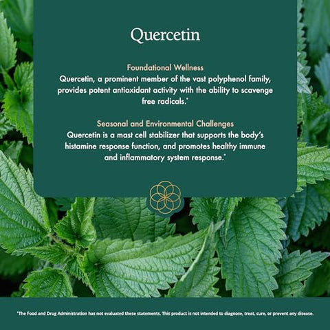 Quercetin Plus – Modula Resposta Imune e Histamínica Saudável – Com Bromelina, Vitamina C e Folha de Urtiga - Natura Health Products