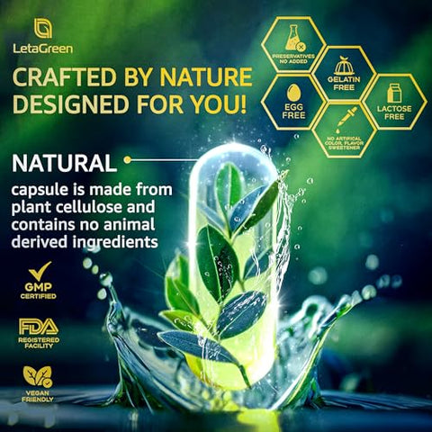LetaGreen - Suplemento de Cápsulas de Leão Orgânico – 240 Cápsulas de Leão Mane Real Mushrooms com Erva Ginkgo Biloba, Bacopa Monnieri – Suporte à Clareza – Suplemento de Cogumelo Leão Mane