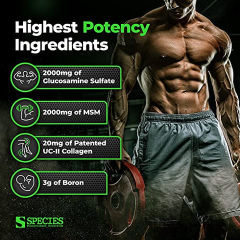 Arthrolyze – Suplemento para Reparo de Articulações, Fortificado com Colágeno UC-II, MSM, Glucosamina, Condroitina, Alta Potência para Tecido Conjuntivo - Species Nutrition