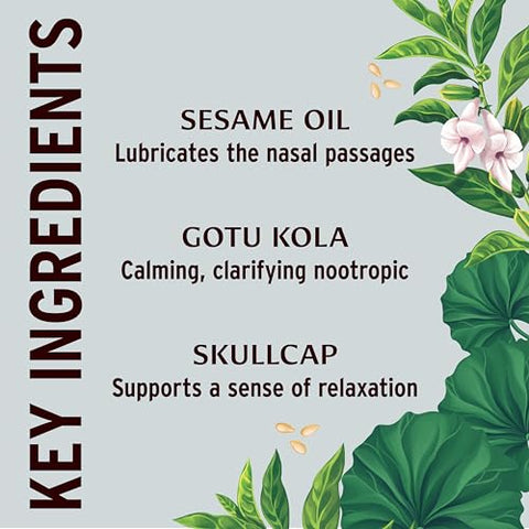Banyan Botanicals - Óleo Nasya Botânico Banyan – Gotas Nasais Orgânicas para Respiração Clara – Limpeza Nasal Ayurvédica e Hidratante Nasal – 30ml – Certificado Orgânico, Não GMO