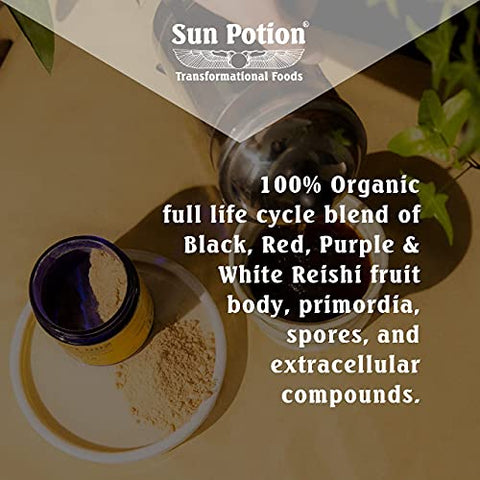 Reishi Mushroom Powder Orgânico – 100g | Pó de Cogumelo Reishi | Potencialize sua Saúde - Sun Potion