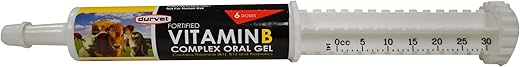 Complexo B Vitamínico 30ml – Fortaleça sua saúde com a marca líder em suplementos - Durvet