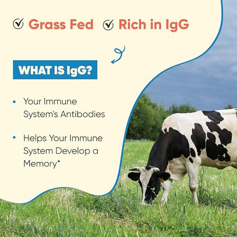 Sandhu's - Sandhu’s Pó de Colostro Bovino para Humanos | 65 Porções de Suplemento de Vacas Alimentadas com Grama | Alto Teor de IgG para Melhor Saúde Intestinal | Imunidade