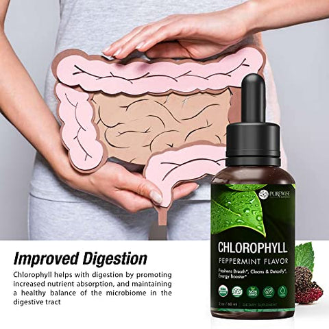 PureWise - Gotas Líquidas de Clorofila – Impulso Energético, Suporte Imunológico, Desodorante Interno, Poderoso Antioxidante, Digestão, Desintoxicação – 100% Natural, Não Transgênico, Vegano, Sabor Menta – Kit com 3