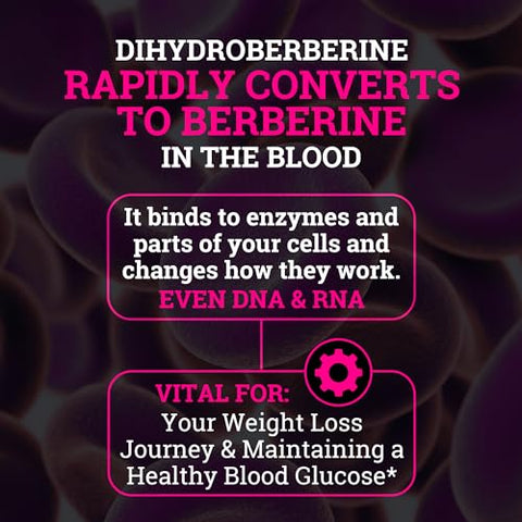 Suplemento de Dihidroberberina Black Forest 5X com Canela do Ceilão – Melhor Dihidroberberina com 5X mais eficácia do que o Berberina HCL regular