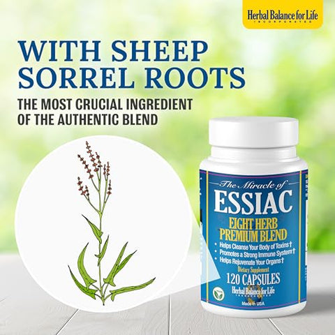 Herbal Balance for Life - Chá Essiac Orgânico em Cápsulas de 8 Ervas, 3199 mg por Porção – 120 Cápsulas, com Raízes de Serralha de Ovelha, Fórmula Mais Potente de Chá Essiac de 8 Ervas por Enfermeira Rene Caisse