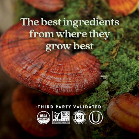 Vitamina D3 Fermentada 2.000 UI, Orgânica, Diária para Imunidade e Coração - New Chapter