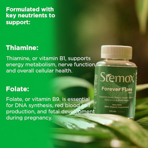 Stemox - Forever Flare 775MG | Vitamina C, Vitamina E, Magnésio, Riboflavina, Niacina, Tiamina | Multivitamínico Completo para Vitalidade Diária | 60 Cápsulas | Não-OGM | 100% Orgânico