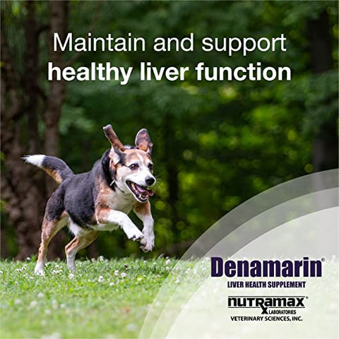Denamarin – Suplemento para Saúde do Fígado de Cães Médios, com S-Adenosilmetionina (SAMe) e Silibina, 30 Comprimidos - Nutramax Laboratories