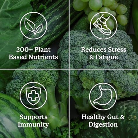 Nature's Sunshine - Nature’s Sunshine Power Greens – Superalimentos Verdes de Alto Desempenho (Pacotes para Levar) | 100% Natural | Marca Nature’s Sunshine
