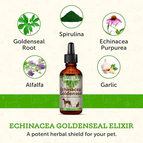 Echinacea Goldenseal – Fórmula Herbal para Cães e Gatos, Suporte Imunológico, Ervas 100% Orgânicas, Recomendado por Veterinários – 30 ml - Animal Essentials