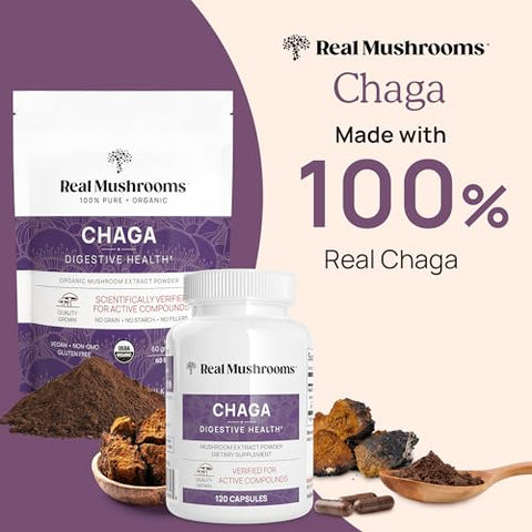 Chaga – Cápsulas Orgânicas de Cogumelo com Extrato de Chaga – Pó de Cogumelo Chaga para Digestão e Energia - Real Mushrooms