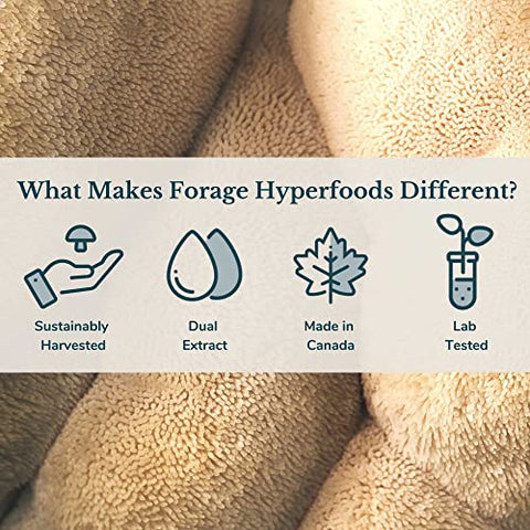 Extrato Líquido de Superalimento de Cogumelo do Leão Mane Canadense, Vegano, Livre de Álcool, Cultivado no Canadá – Auxílio Natural para o Cérebro, Melhora de Memória e Nervos - Forage Hyperfoods