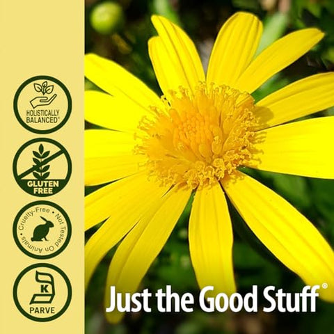 Nature's Answer - Nature’s Answer Raiz de Elecampane 60 ml. Baixo Teor de Álcool Orgânico 2000mg – Herbal – Não GMO