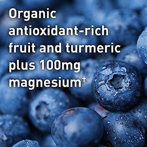 Proteína em Pó Vegana Orgânica para Esportes, Sabor Baunilha – 500g - Garden of Life