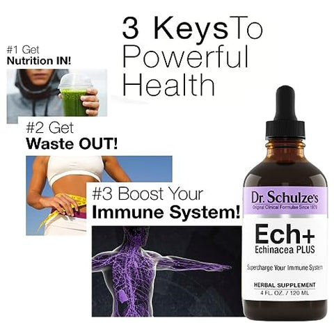 Dr. Schulze’s Echinacea Plus | Extrato Orgânico de Raiz e Semente de Equinácea | Livre de Glúten | 100% Natural