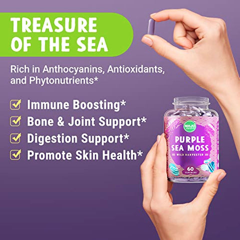 Maju Superfoods - Cápsulas Poderosas de Sea Moss Roxo da MAJU (60 un), Minerais Roxos de Alta Potência, Chondrus Crispus, Mais Forte que Gel, Comparado com Cápsulas de Irish Seamoss Orgânico, Colheita Selvagem