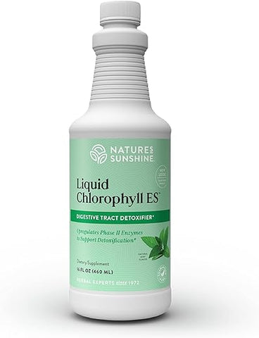 Nature's Sunshine - Nature’s Sunshine Clorofila Líquida Extra Forte – Suporte à Imunidade, Desintoxicação – 500ml