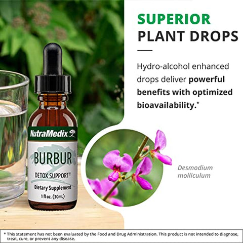Burbur – Extrato de Desmodium Molliculum para Limpeza Diária – Suplemento para Foco – 30ml - NutraMedix