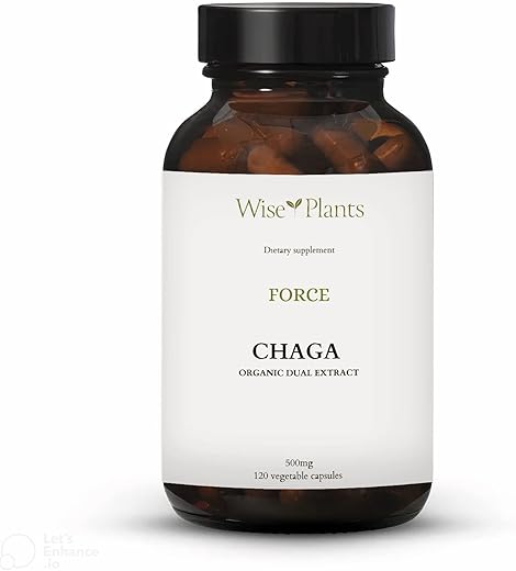 Wise Plants - Suplemento de Cogumelo Chaga. Extrato Duplo, Corpo Frutífero Puro, 30% Polissacarídeos, 500 mg, 120 cápsulas vegetais (Fornecimento de 120 dias). Suporte para digestão saudável, função imunológica e