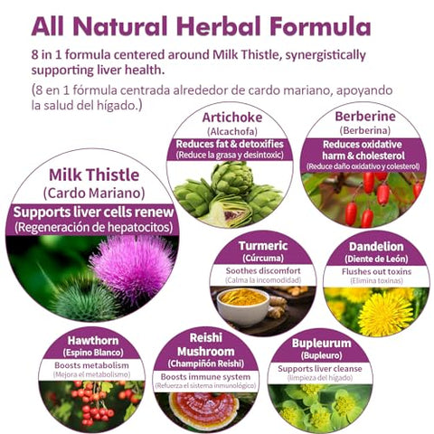 Nurbetoxa - Milk Thistle Liver Support Drops – Alcachofa, Curcuma, Cardo Mariano, Berberina – Higado Graso, Bajar de Peso, Liver Detox