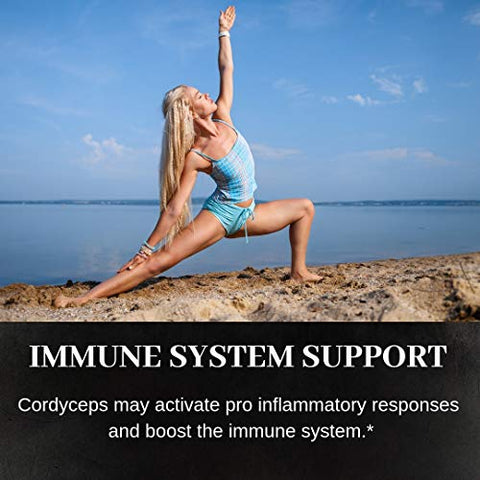 Noomadic - Cordyceps Mushroom 60 Cápsulas 500mg Ativador AMPK Extrato em Água Quente Cultivado em Madeira Corpos Frutíferos 30%% Beta-D-Glucanos Yartsa Gunbu Fungo de Lagarta