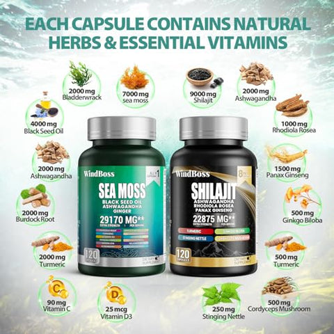 Pacote Sea Moss e Shilajit – 120 Unidades – Seamoss 7000mg, Óleo de Semente Preta 4000mg, Ashwagandha 2000mg, Gengibre – 100% Natural e Potente - WindBoss