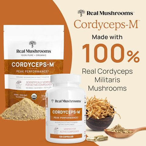 Cordyceps em Pó – Extrato de Cogumelo para Desempenho com Militaris Orgânico para Energia | 100g - Real Mushrooms