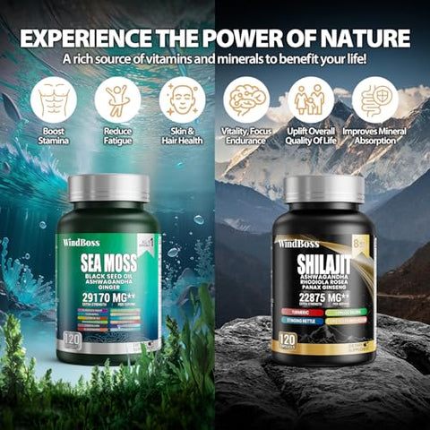 Pacote Sea Moss e Shilajit – 120 Unidades – Seamoss 7000mg, Óleo de Semente Preta 4000mg, Ashwagandha 2000mg, Gengibre – 100% Natural e Potente - WindBoss