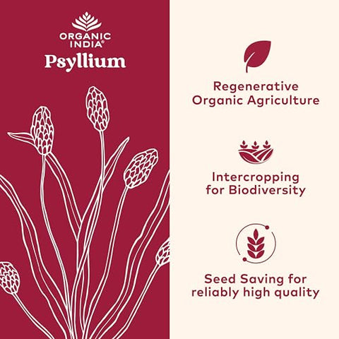 Psyllium Herbal Powder – Fibra de Casca Inteira, Eliminação Saudável, Amigável ao Keto, Vegano, Sem Glúten, Certificado Orgânico pelo USDA, Não-OGM, Solúvel - ORGANIC INDIA