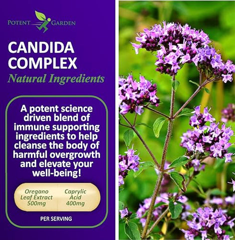Candida Complex – Complexo de Orégano e Ácido Caprílico, Equilíbrio da Flora Intestinal, Saúde Intestinal - Potent Garden