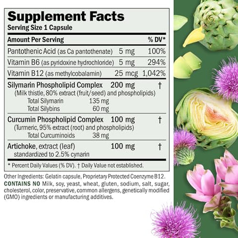 ANDREW LESSMAN - Andrew Lessman Extratos Antioxidantes para o Fígado 240 Cápsulas – Suporta os Tecidos Trabalhadores do Fígado, Promove a Saúde Ótima do Fígado