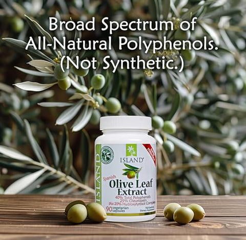 Island Nutrition - Extrato de Folha de Oliveira em Cápsulas – 25%% Oleuropeína (40%% Polifenóis Totais), Mais Complexo de 20%% de Hidroxitirosol – 100%% Cultivado