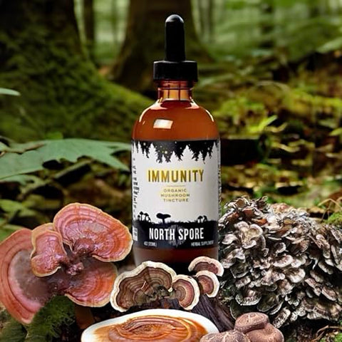 Tintura de Cogumelo Imunidade Orgânica 60ml - North Spore