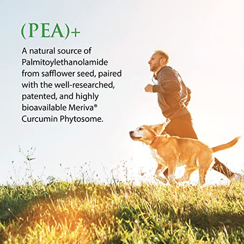 Enzyme Science - Meriva Curcumin 120 Cápsulas Naturais para Suporte Fisiológico Ajuda a Fortalecer o Sistema Nervoso e Imunológico | Marca: Pea