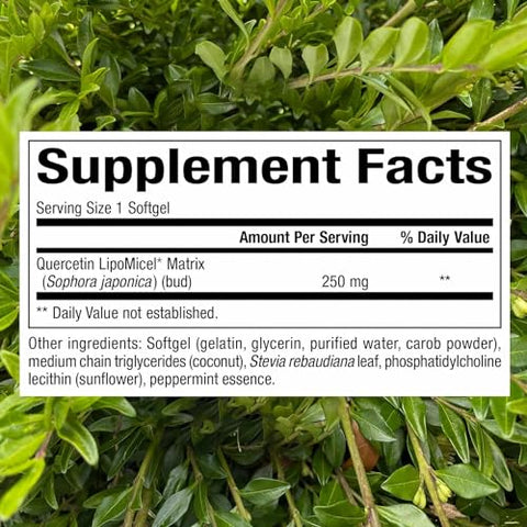 Quercetin LipoMicel Matrix – 120 Softgels | Absorção Superior | Marca Natural Factors - Natural Factors