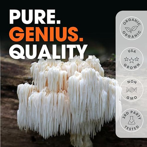 The Genius Brand - Genius Lions Mane – Suplemento Cápsulas Orgânicas, 1200mg por Porção – 120 Comprimidos Vegetais