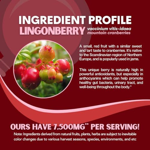 Nutriheim - Pó de Lingonberry 7500mg para Trato Urinário, Circulação Sanguínea, Saúde Intestinal, Saúde Ocular, Suporte Antioxidante – Puro Relação 5:1