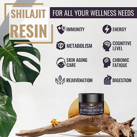600mg Shilajit Puro do Himalaia – Resina Orgânica de Shilajit com Mistura Ayurvédica em Alta Potência para Energia e Força - Ajoblanco